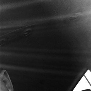 Meet your Posher, Bruce